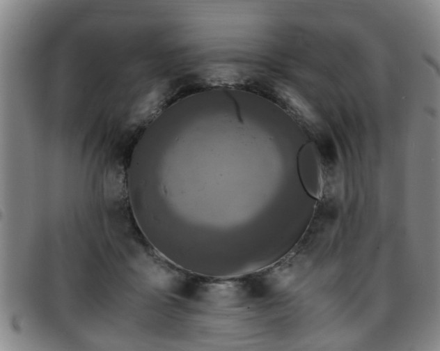 X0000096380411200801311303