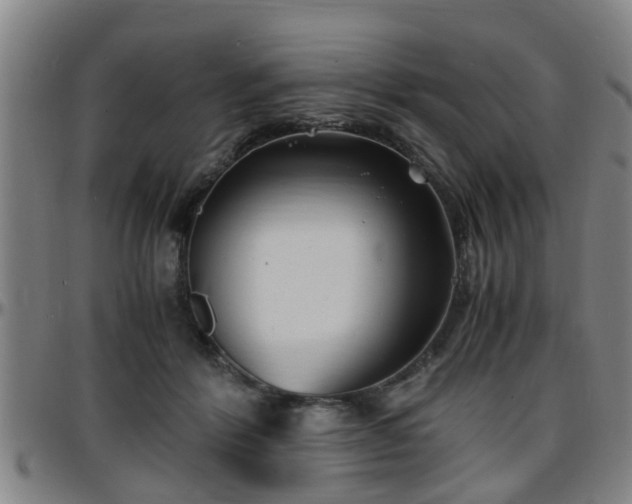 X0000096380412200801311303