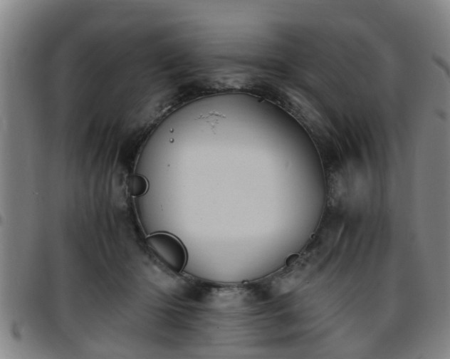 X0000096380414200801311303