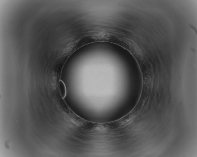 X0000096380416200801311303