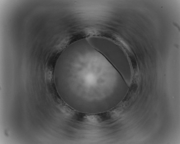 X0000096380417200801311303