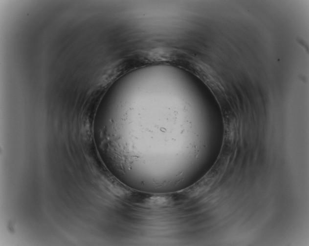 X0000096380418200801311303