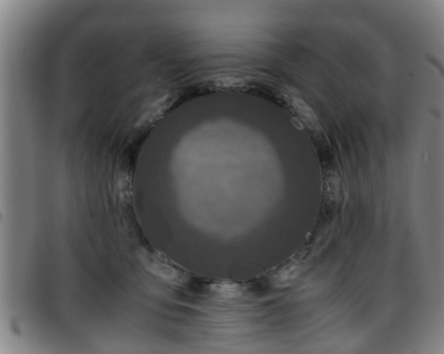 X0000096380419200801311303