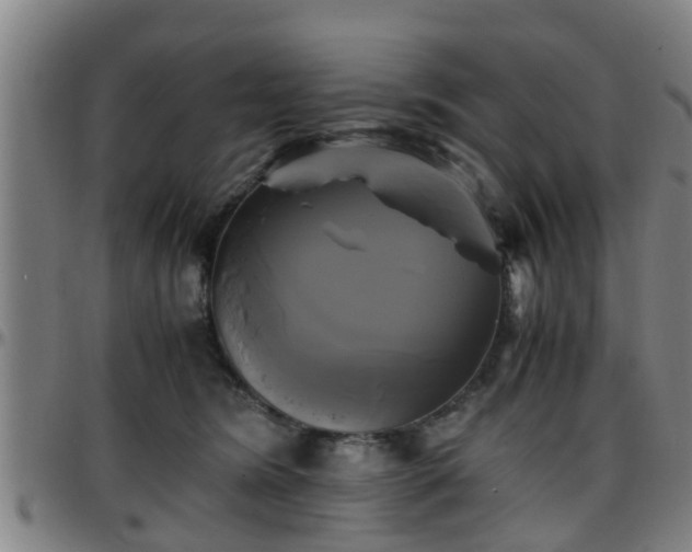 X0000096380420200801311303