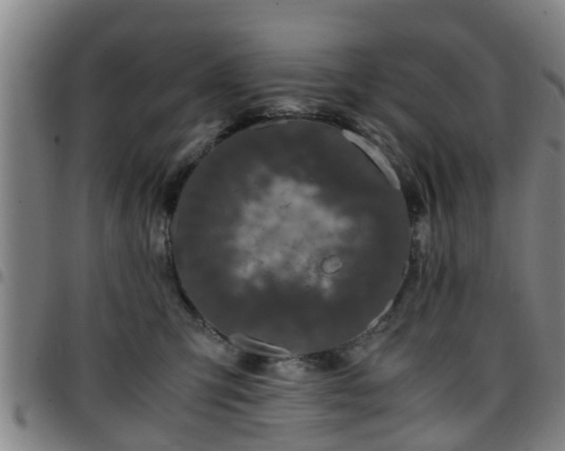 X0000096380423200801311303