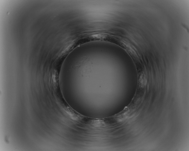 X0000096380424200801311303