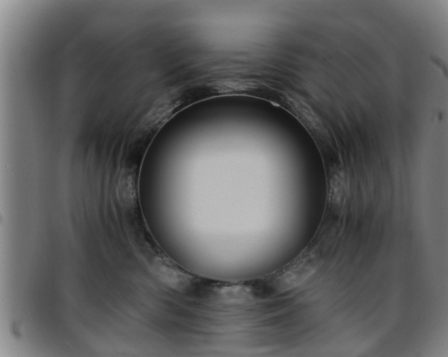 X0000096380426200801311303