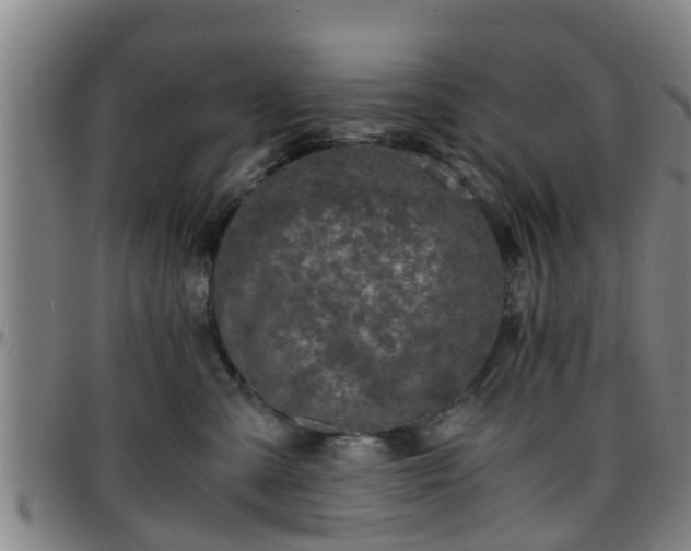 X0000096380427200801311303