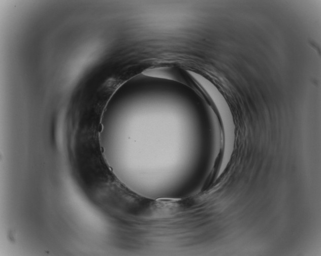 X0000096380429200801311303