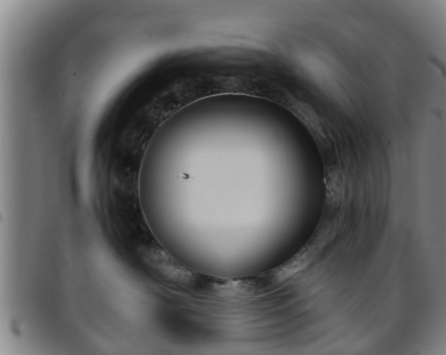 X0000096380430200801311303