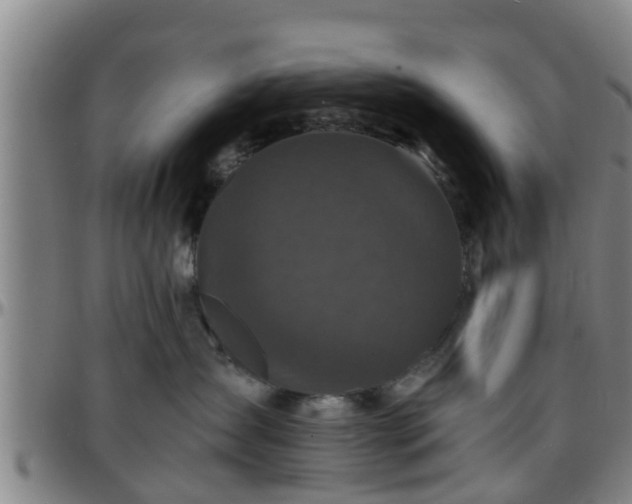 X0000096380431200801311303
