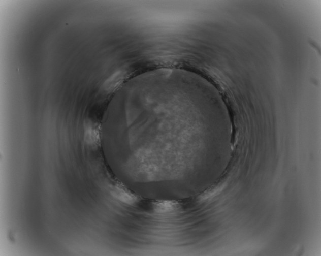 X0000096380432200801311303