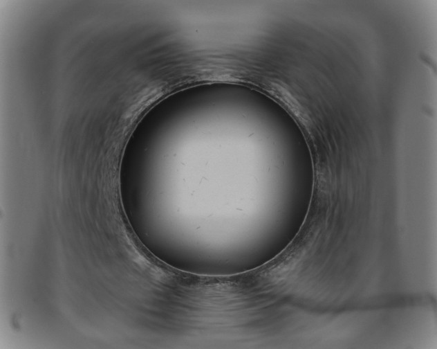 X0000096380433200801311302