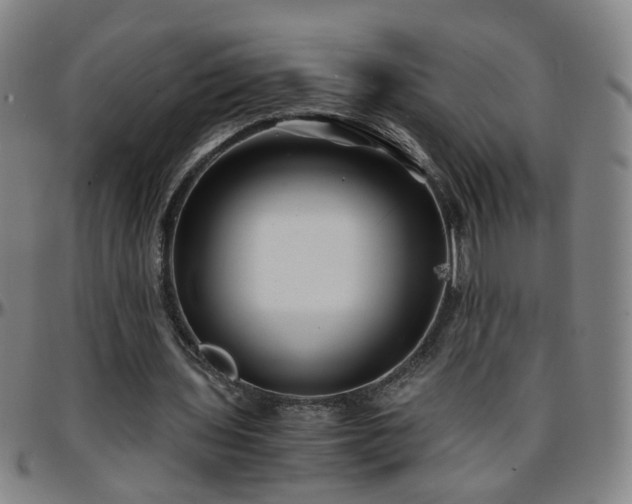 X0000096380435200801311302