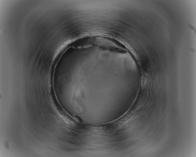 X0000096380438200801311302