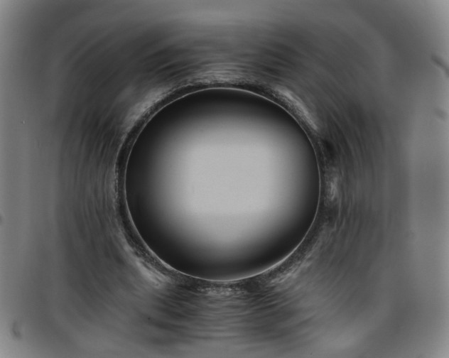 X0000096380439200801311302