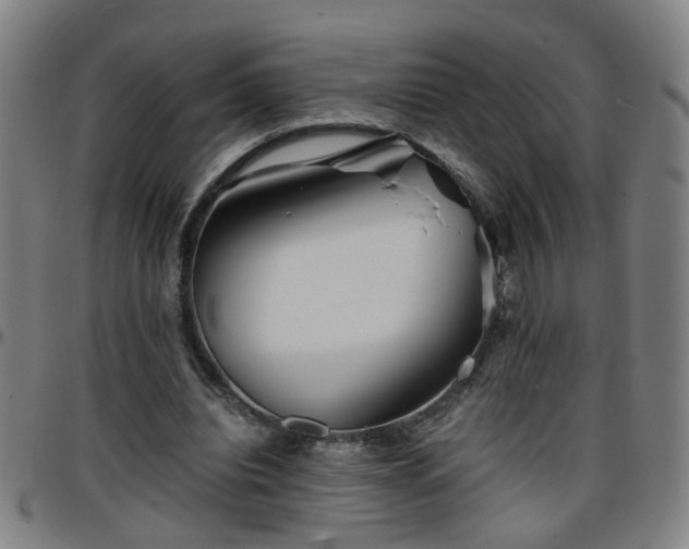 X0000096380440200801311302