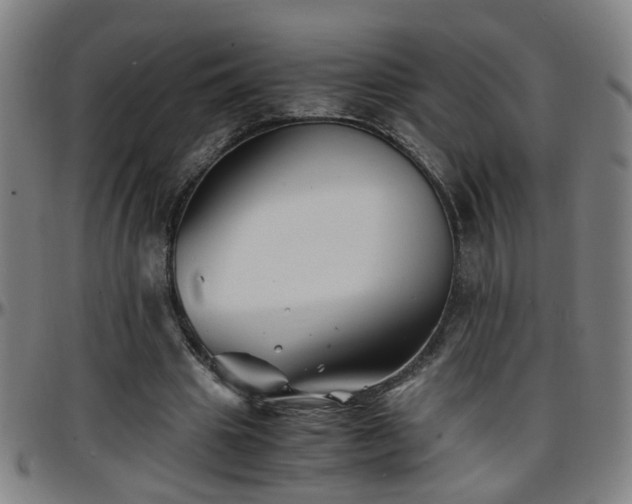 X0000096380441200801311302