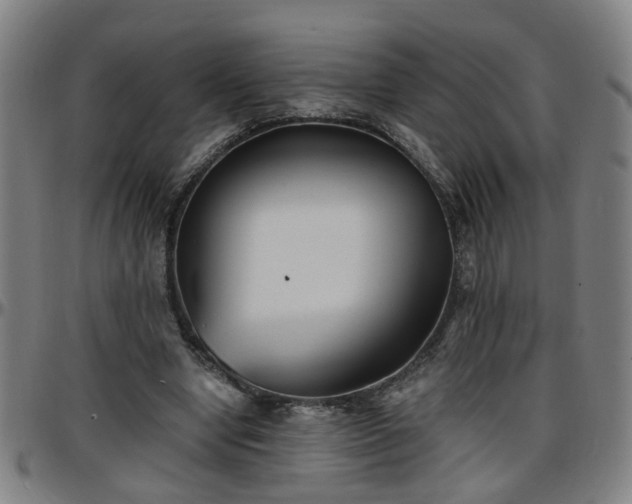 X0000096380442200801311302