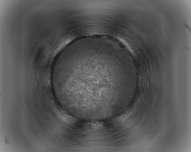 X0000096380443200801311302