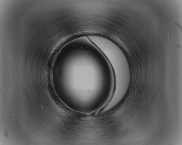 X0000096380444200801311302