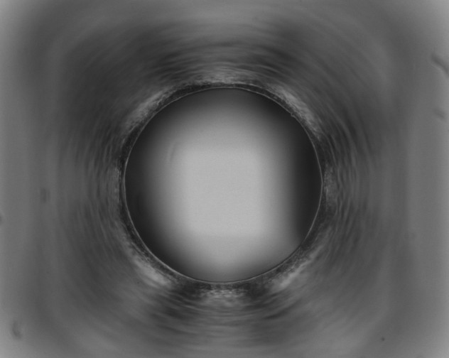 X0000096380445200801311303