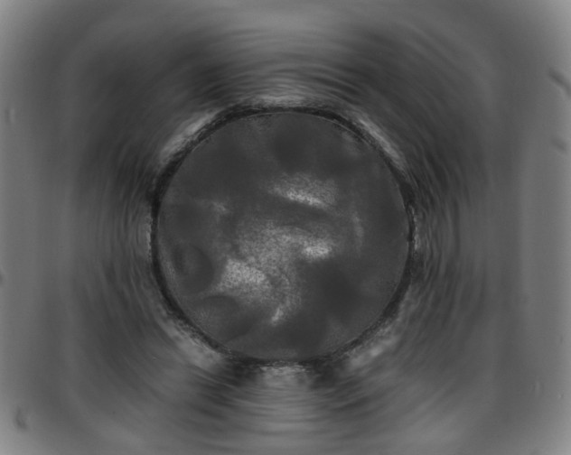 X0000096380446200801311303