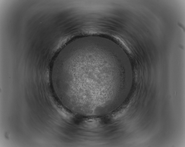 X0000096380447200801311303