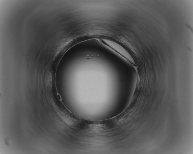 X0000096380448200801311303