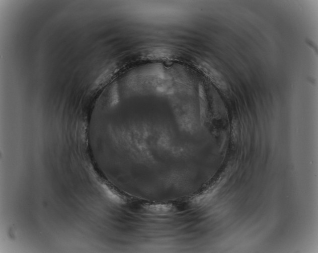 X0000096380449200801311303