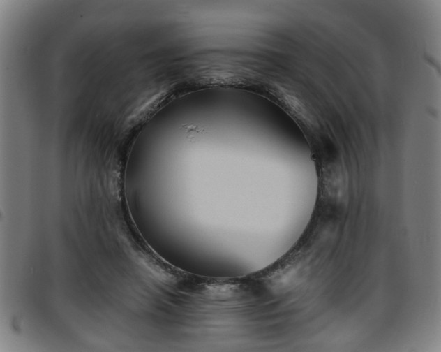 X0000096380450200801311303