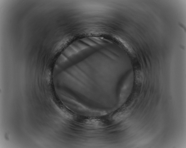 X0000096380451200801311303