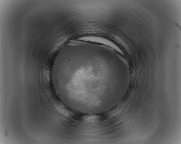 X0000096380452200801311303