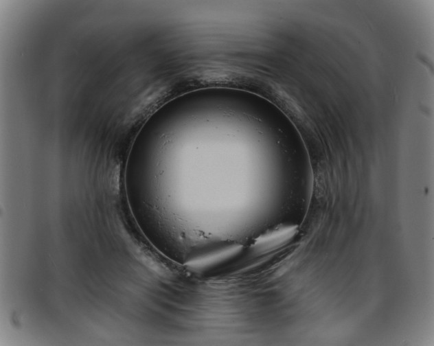 X0000096380454200801311303