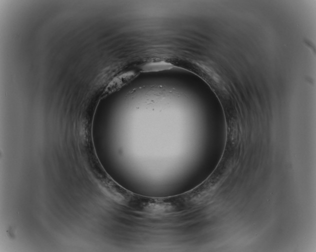 X0000096380455200801311303