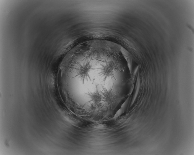 X0000096380456200801311303