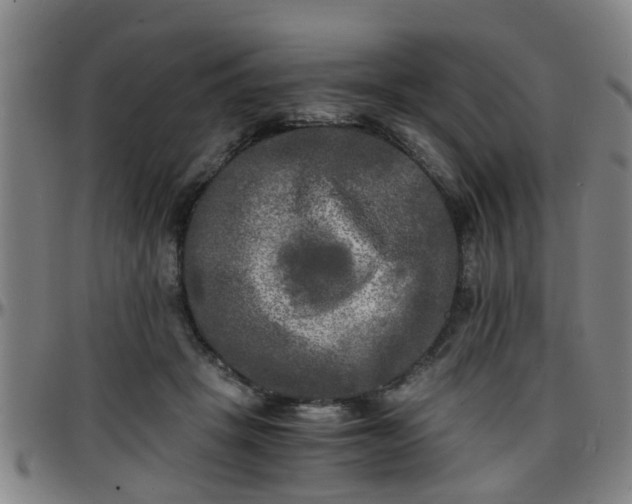 X0000096380457200801311303