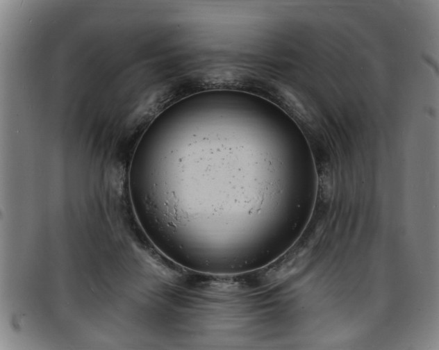 X0000096380458200801311303
