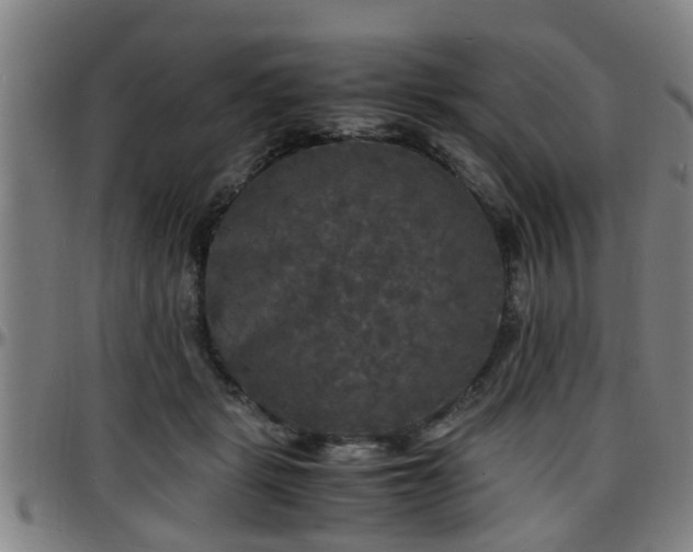 X0000096380461200801311303