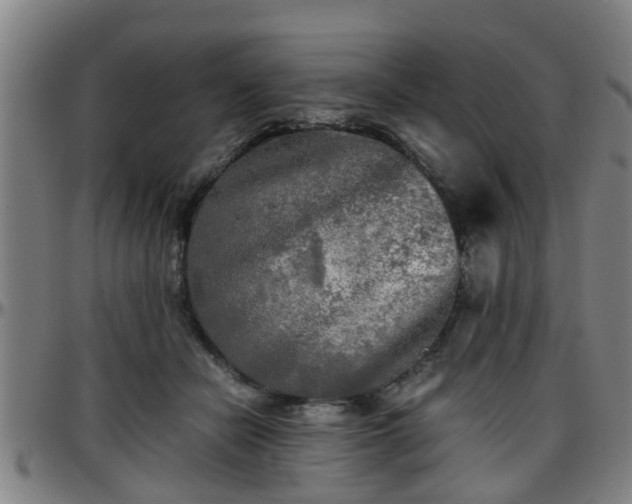 X0000096380462200801311303