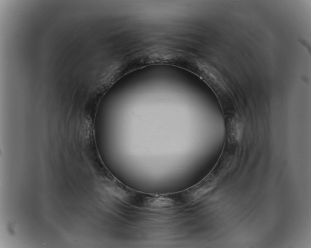 X0000096380463200801311303