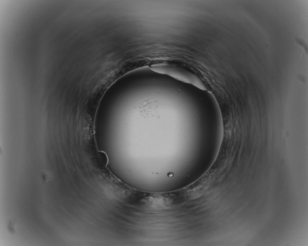 X0000096380464200801311303