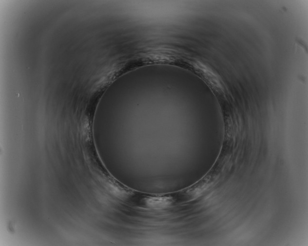 X0000096380465200801311303