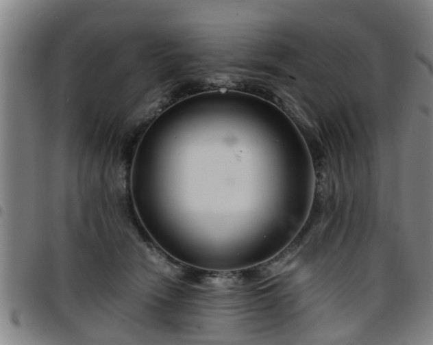 X0000096380466200801311303