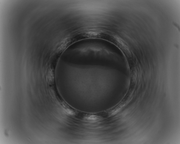 X0000096380467200801311303