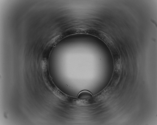 X0000096380468200801311303