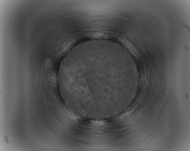 X0000096380469200801311303