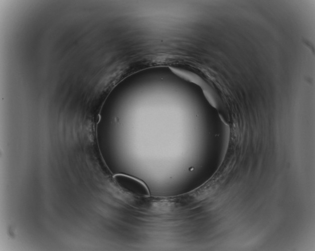 X0000096380470200801311303