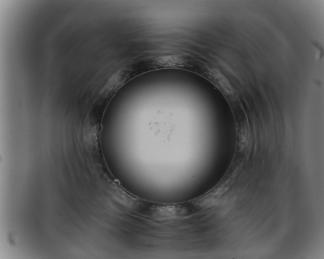 X0000096380473200801311303