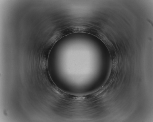 X0000096380474200801311303